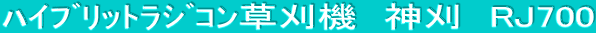 ʲد׼޺ݑ@@_@RJ700